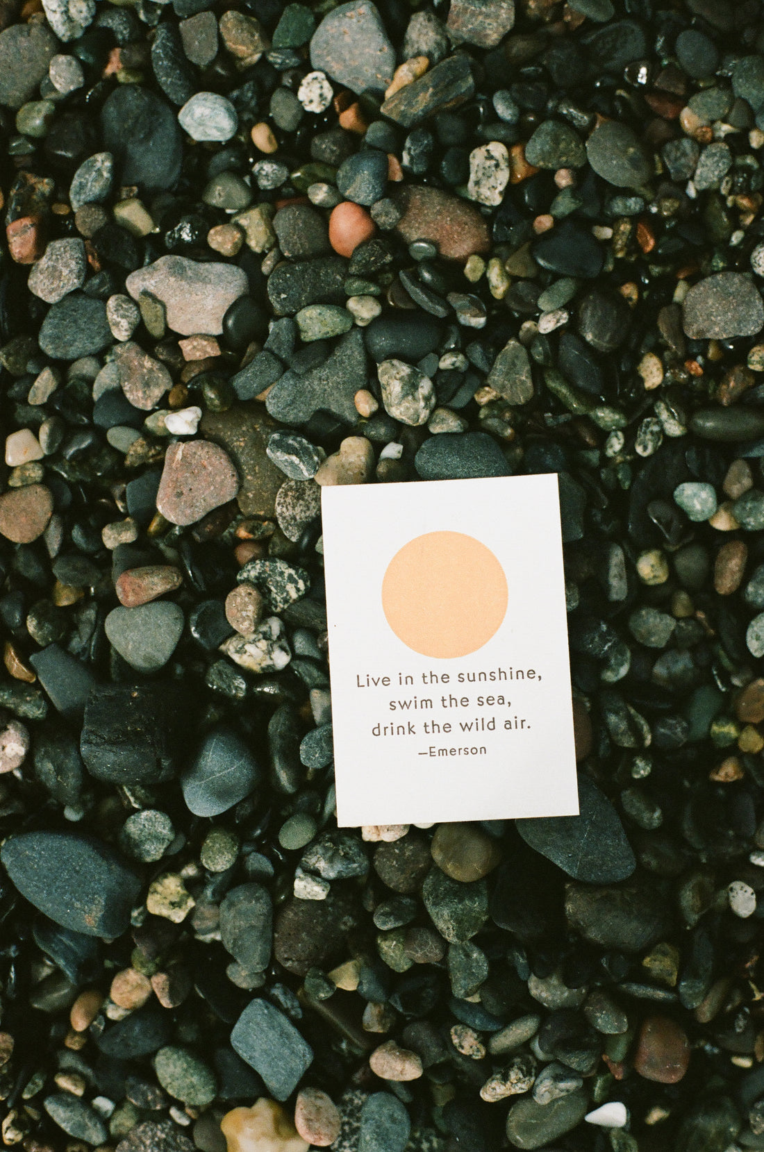 Letterpress Studio Visit