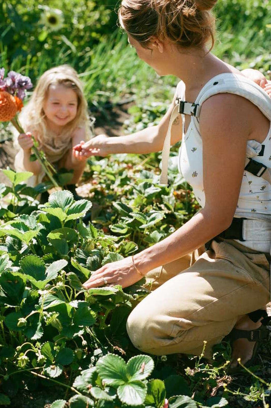 Summer in the Garden