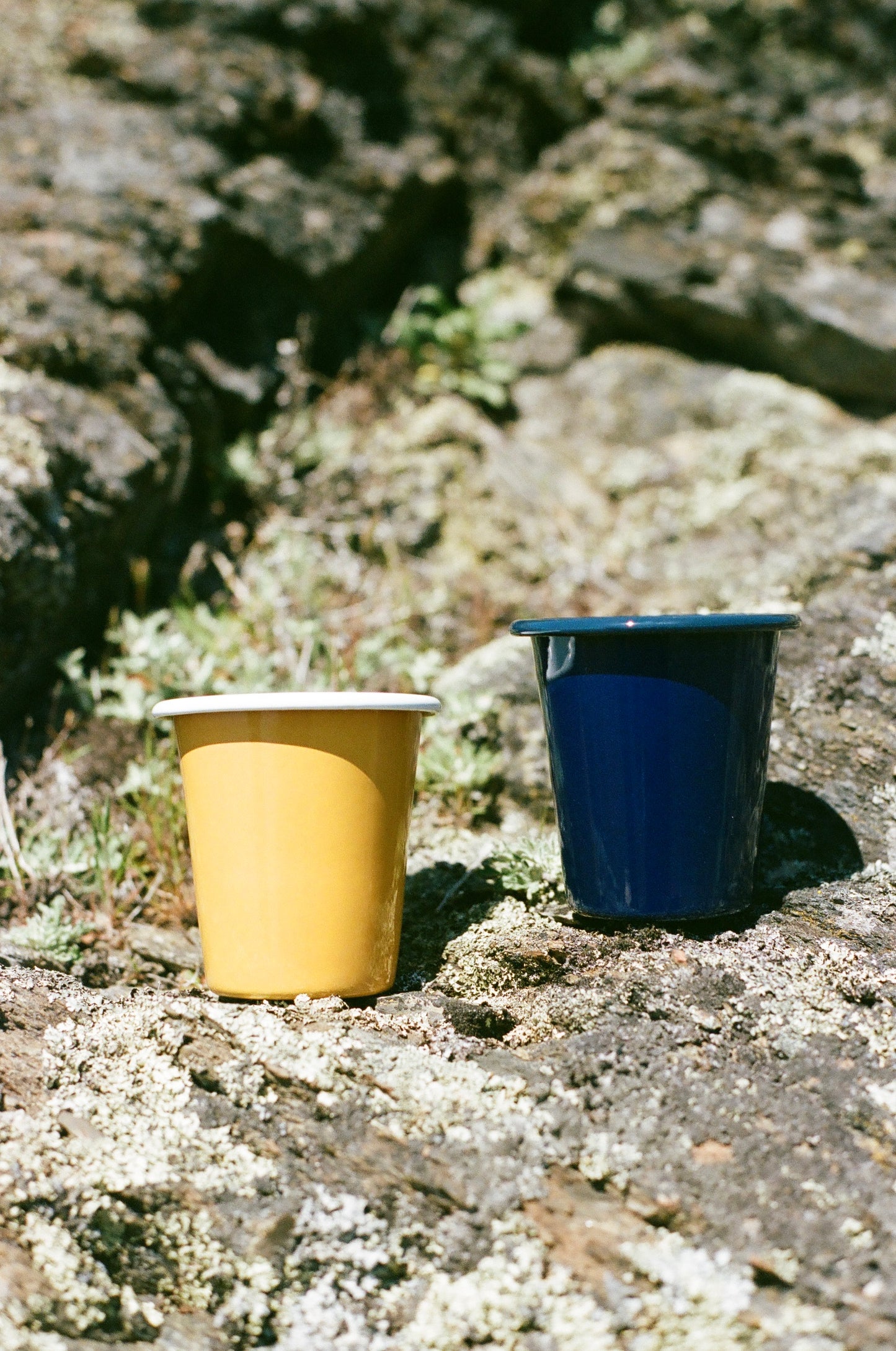 Falcon Enamel Tumbler