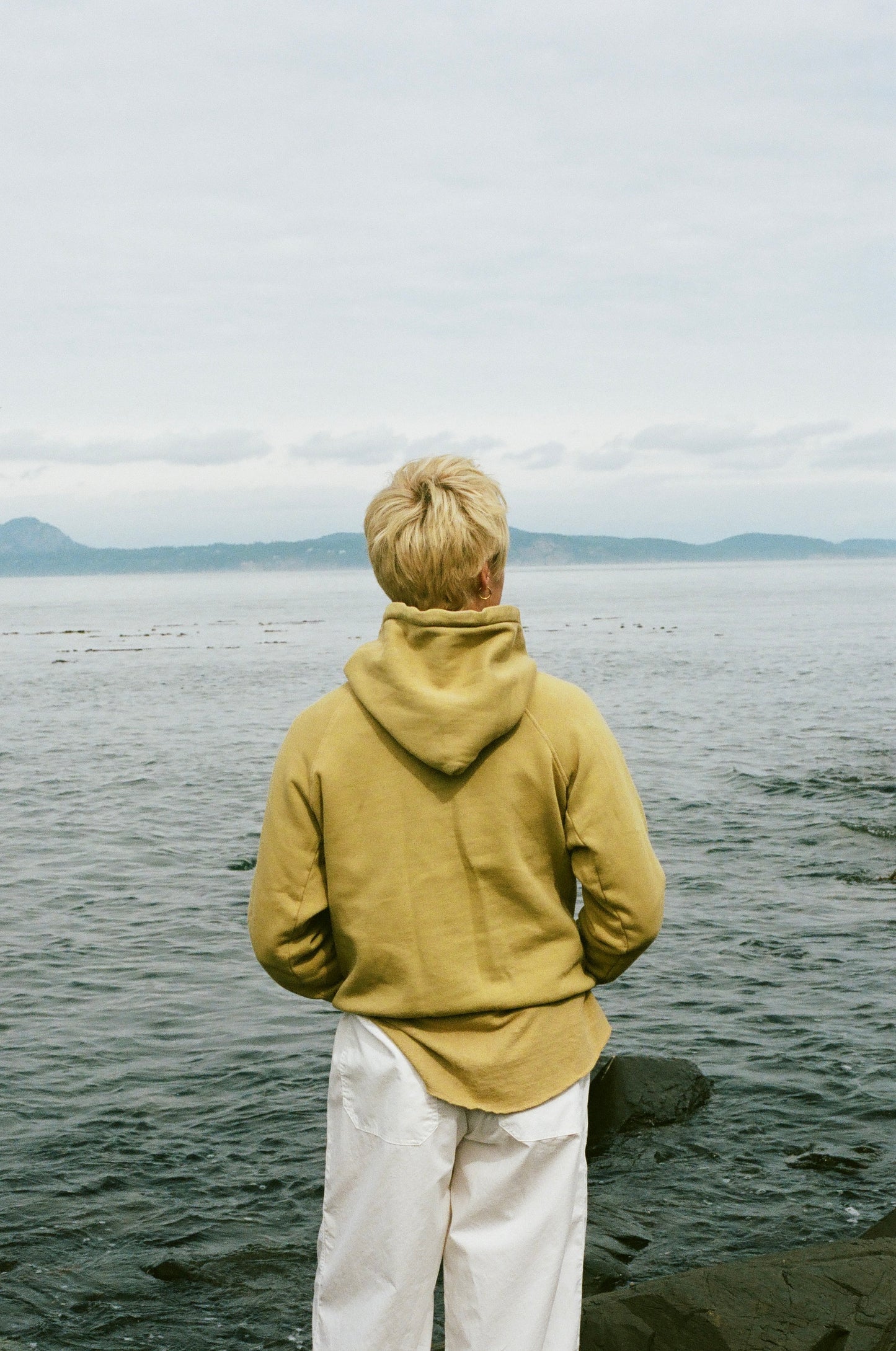 Shipyard Hoodie | Mullein