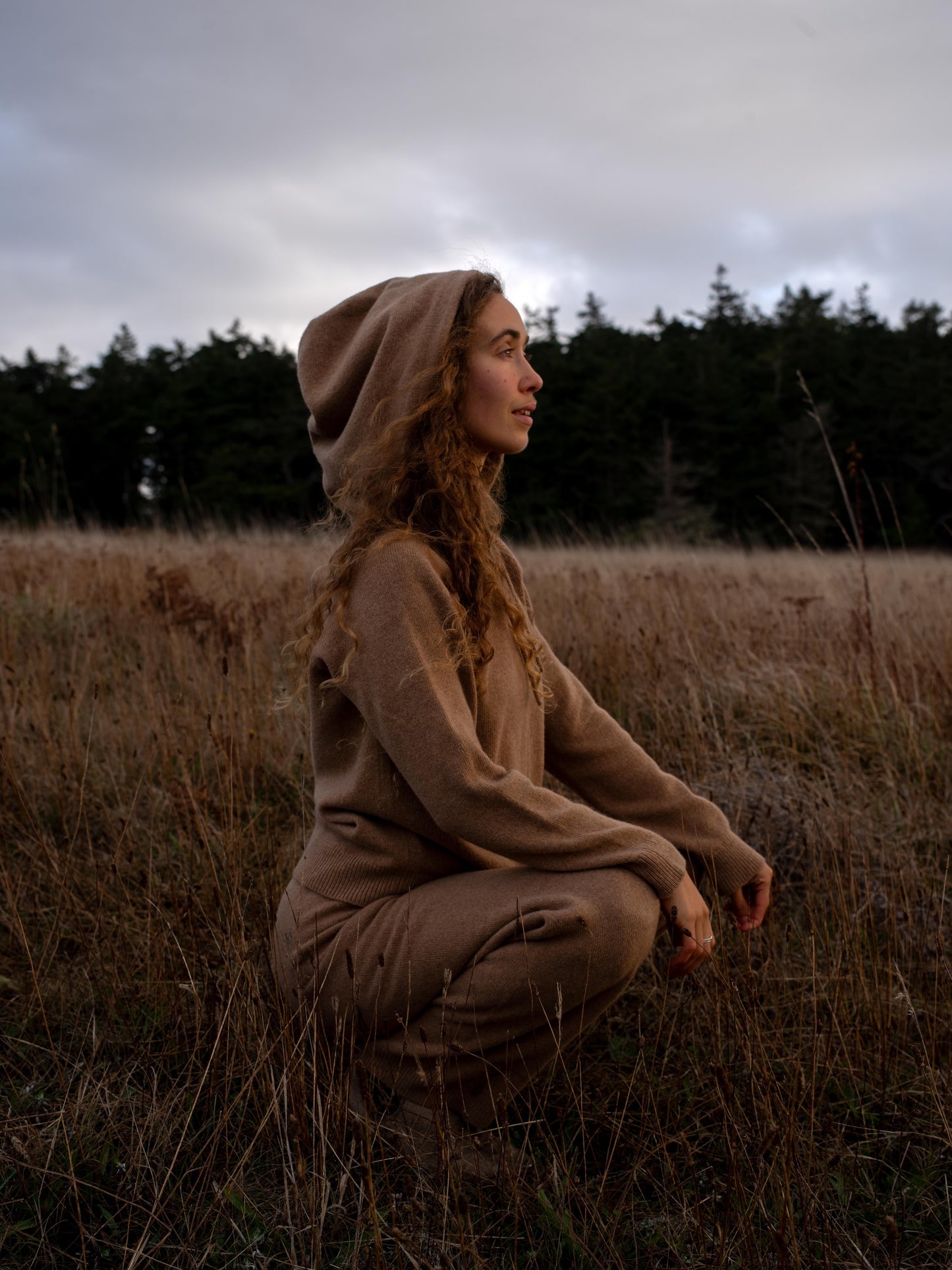 The Agate Cashmere Hoodie | Acorn